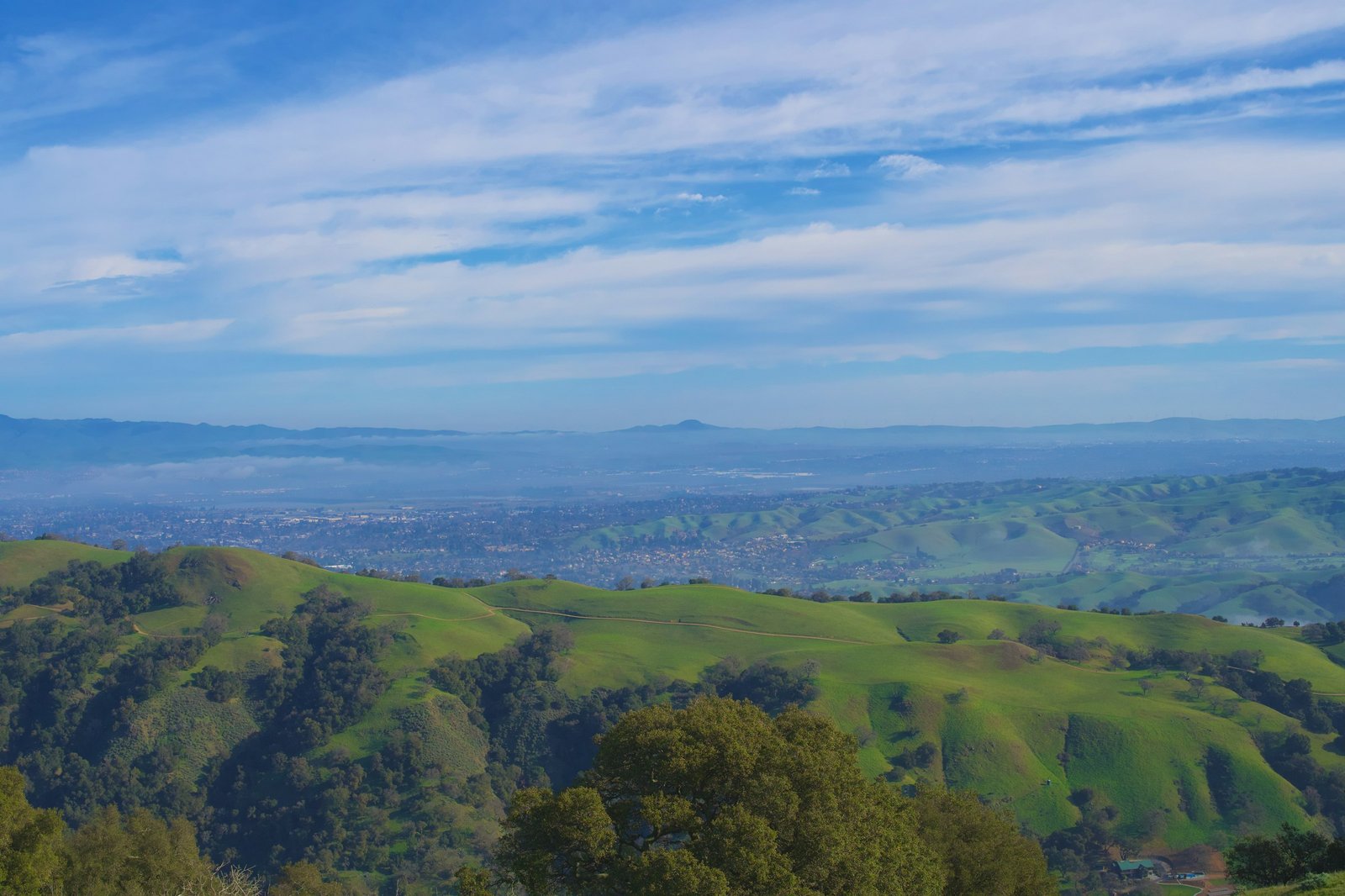 Rolling green hills under a soft blue sky